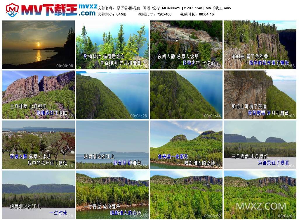 原子霏-醉花荫_国语_流行_MD400621